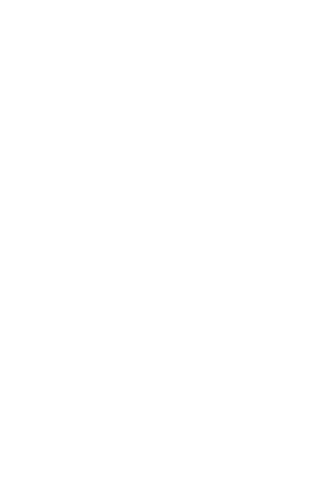 Vector 40